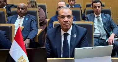 مصر تؤكد رفضها الكامل لأي محاولات للمساس بسيادة تركيا وتدعو لخفض التصعيد في المنطقة